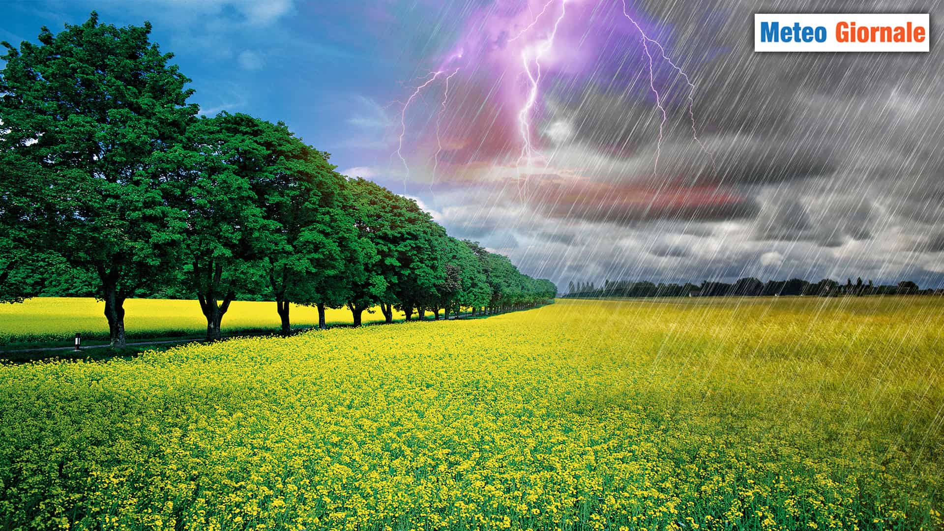 MARZO ha risposto "presente". Il METEO primaverile c'è