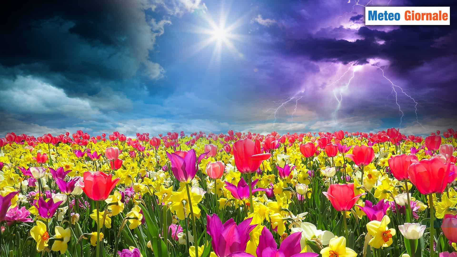 Meteo di PRIMAVERA avanti tutta!