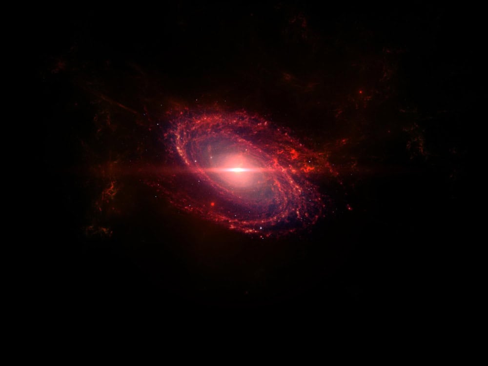 Baby quasar, cosa sogni di diventare da grande?