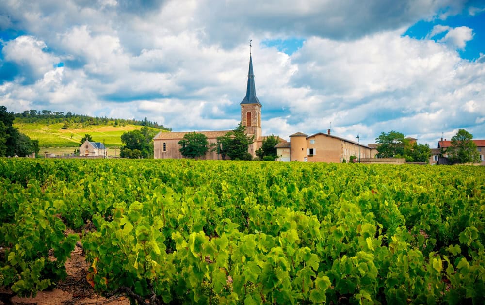 Scoprire la Borgogna: una regione ricca di storia, cultura e vini pregiati