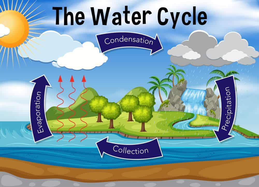 I cicli dell’acqua sono il tassello mancante nel puzzle della crisi climatica?