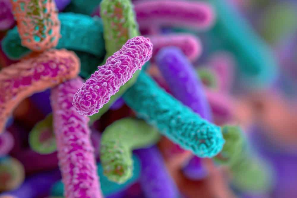 Diffusione del colera: un’emergenza globale che richiede interventi urgenti