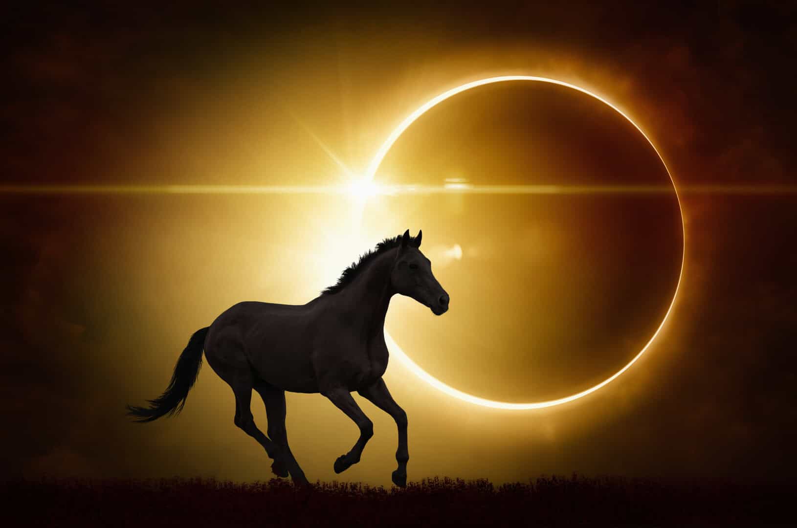 Ora o mai più niente del genere: Eclissi Totale di Sole, buio di giorno quasi 5 minuti. Altri dettagli
