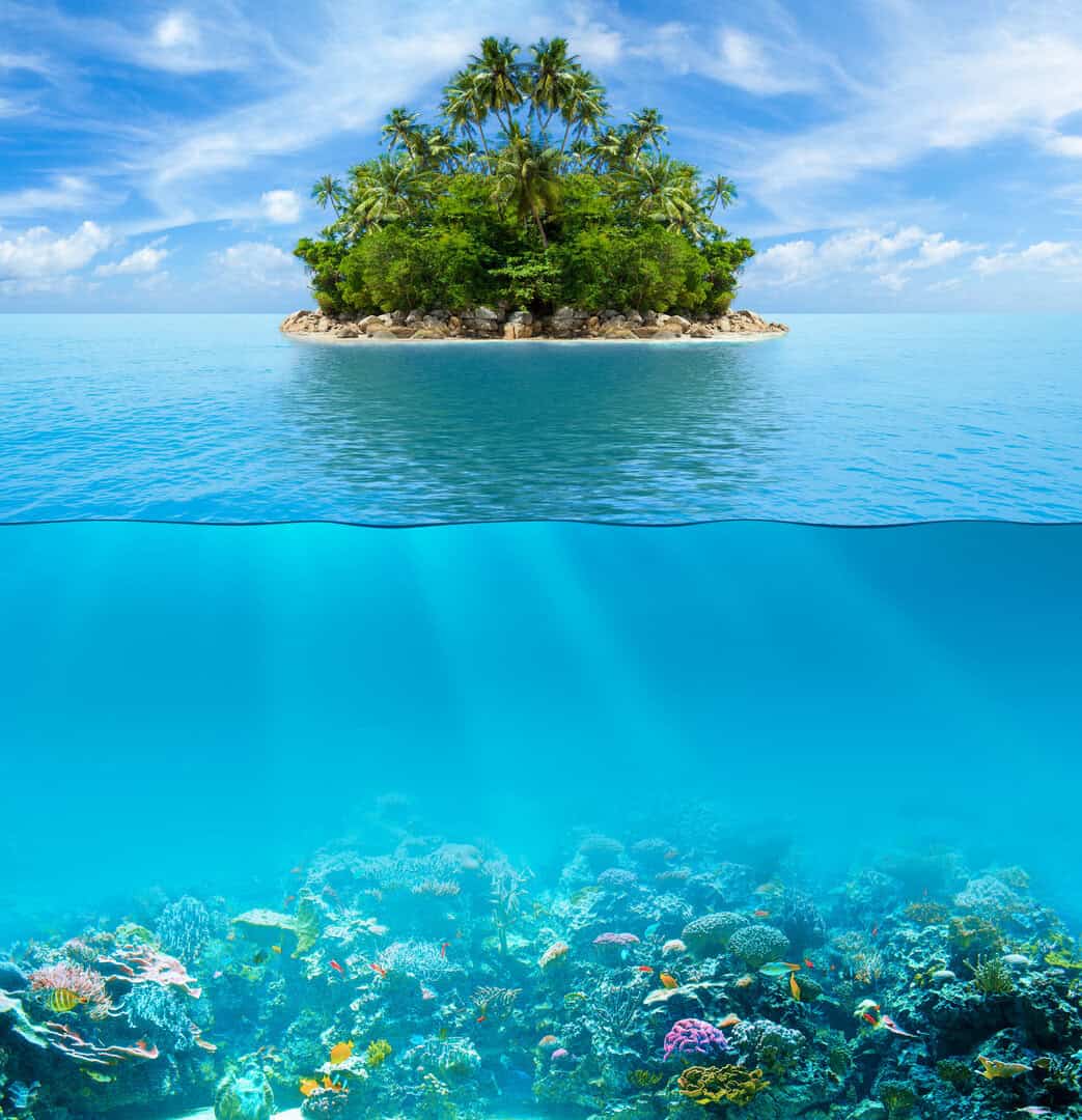 Correnti di risalita: importanza ecologica nel sistema marino