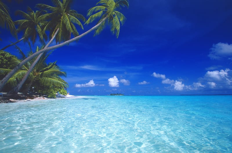 Sulle orme del Paradiso: esplorando i miracolosi Atolli e le immersioni sognanti delle Maldive