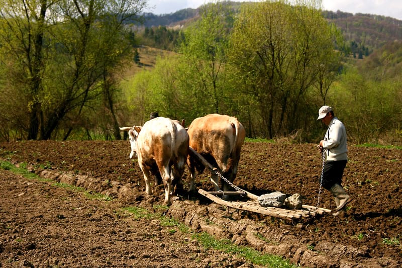 Strategie innovative per rafforzare la resilienza delle comunità agricole nelle zone di frontiera
