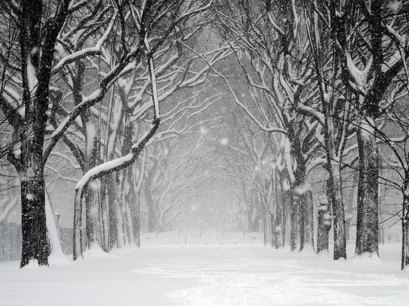 Tempesta primaverile porterà neve e maltempo negli Stati Uniti nel fine settimana