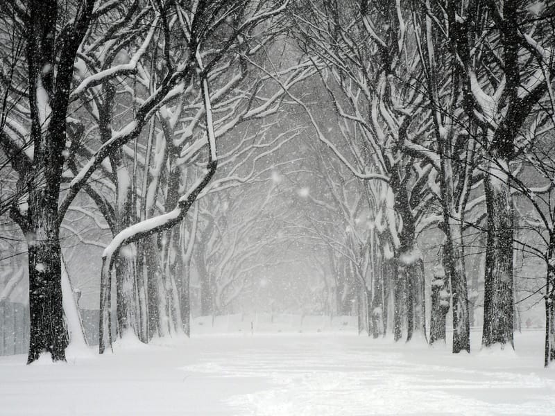 Minaccia di neve nel weekend nel nord-est mentre l’inverno ritorna in New England e New York