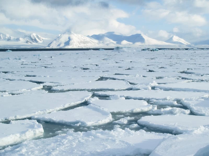 Scoperte sorprendenti: l’Artico potrebbe diventare privo di ghiaccio in meno di 10 anni