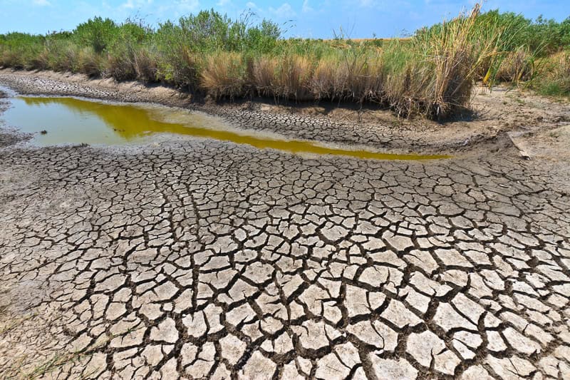 Agricoltura contro turismo: come affrontano la siccità spagnola agricoltori e alberghi?