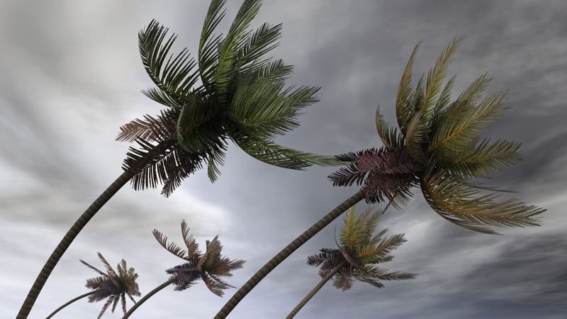 Tempesta tropicale severa Filipo colpisce il Mozambico