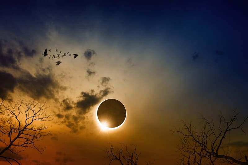 Quali pianeti saranno visibili durante l’eclissi solare dell’8 aprile?