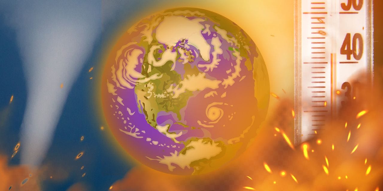 Stati uniti: un inverno record, mai così caldo nella storia. E le previsioni non sono buone