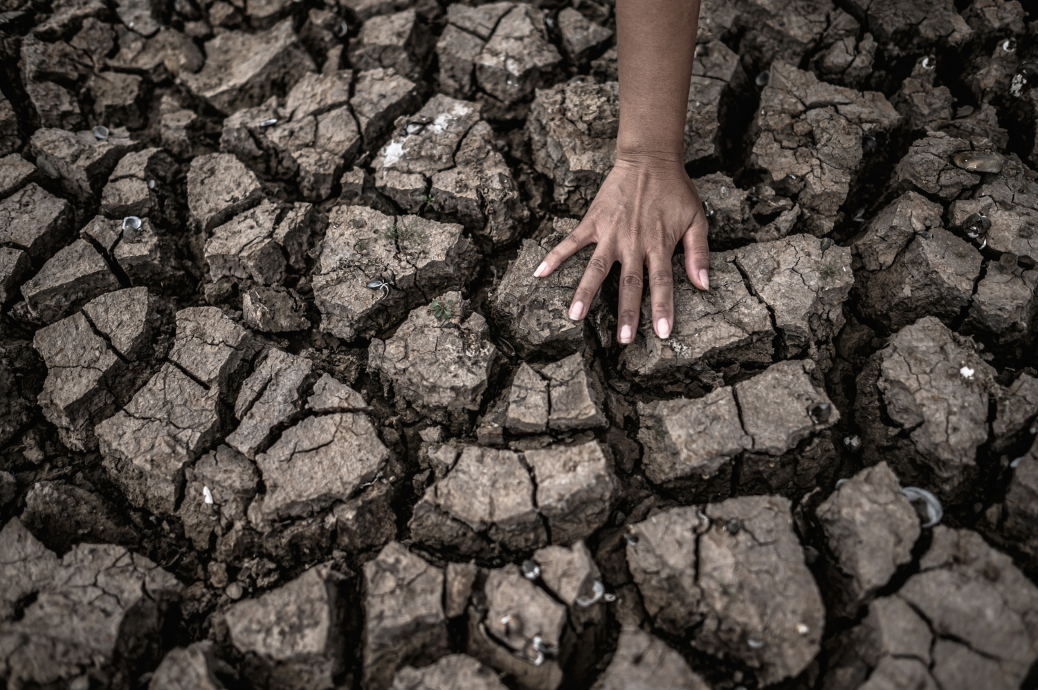 Esaurimento delle risorse terrestri: le conseguenze a lungo termine sulla società e l’ambiente