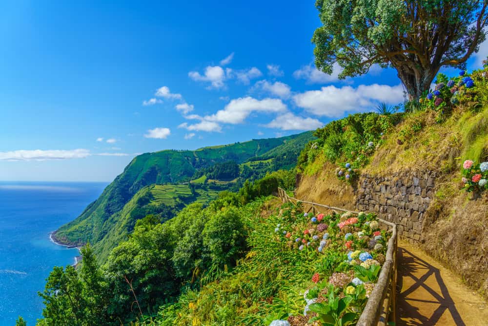 Isole Azzorre: un viaggio nei maestosi giardini fluttuanti dell’Atlantico
