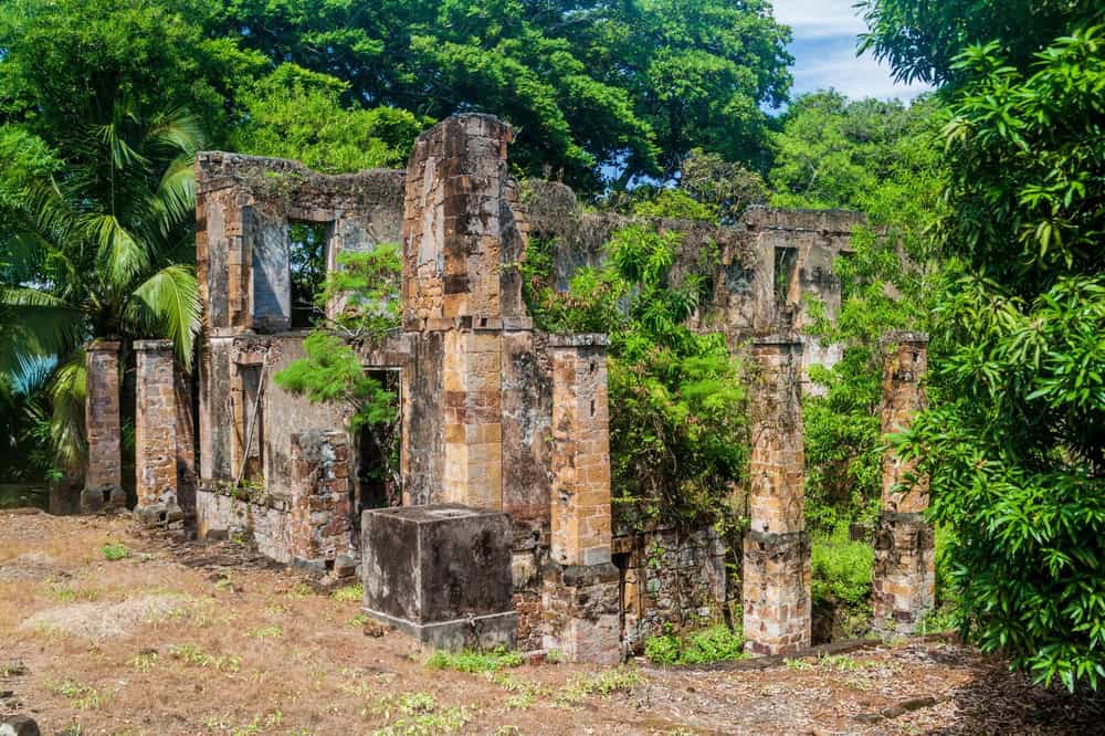 L’isola di Île Royale, Guyana Francese: ricchezza storica e diversità naturale