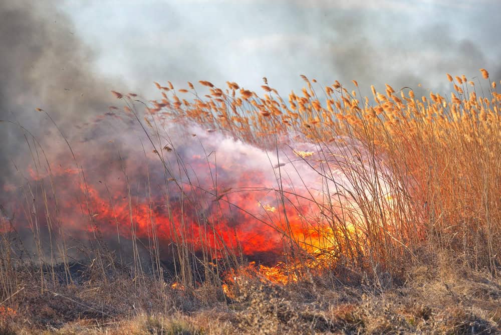 Decine di incendi scoppiati lungo i monti Appalachi a causa del vento