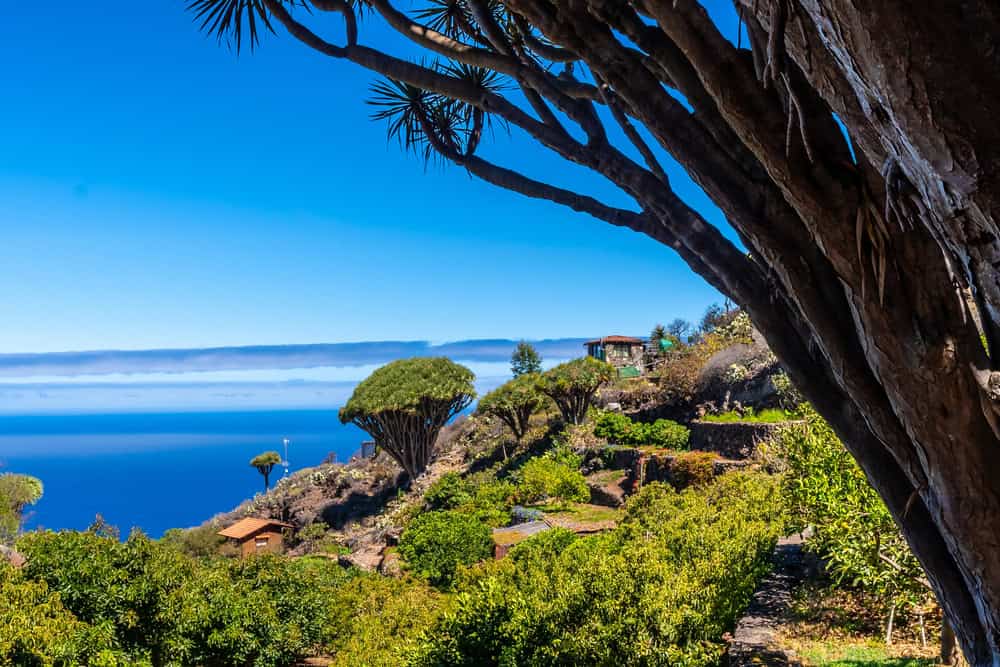 La Palma, la perla incantata delle Canarie: un viaggio ispiratore nell’Isla Bonita