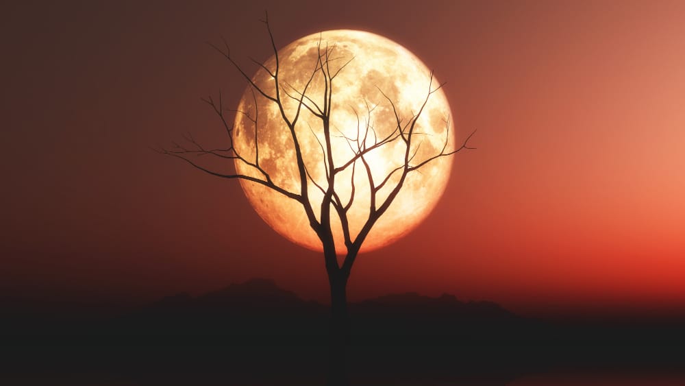 La luna? Un piccolo sole. La sorprendente nuova teoria alternativa