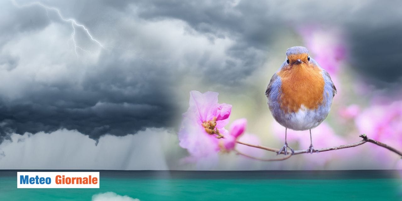 Meteo dopo il ciclone: ecco le novità attese
