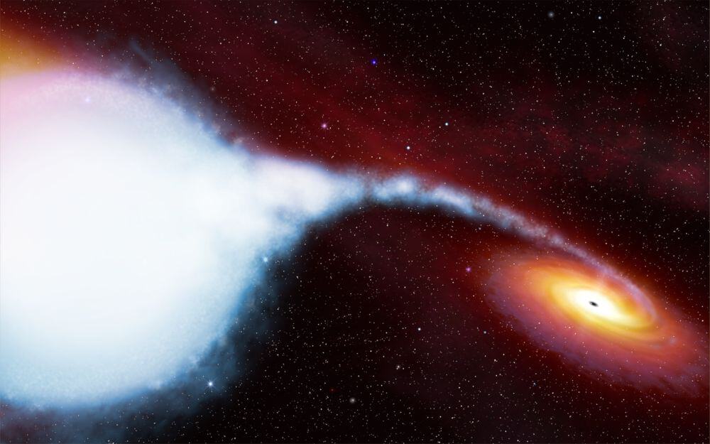 Il cuore ardente dell’Universo: viaggio alla scoperta dei misteri della Nebulosa del Cigno