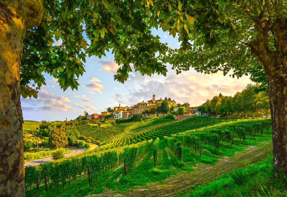 Asti: storia e tradizioni vinicole nel cuore del Piemonte