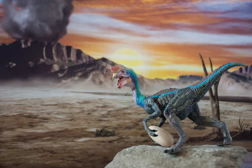 Oviraptor era davvero il ladro di uova?