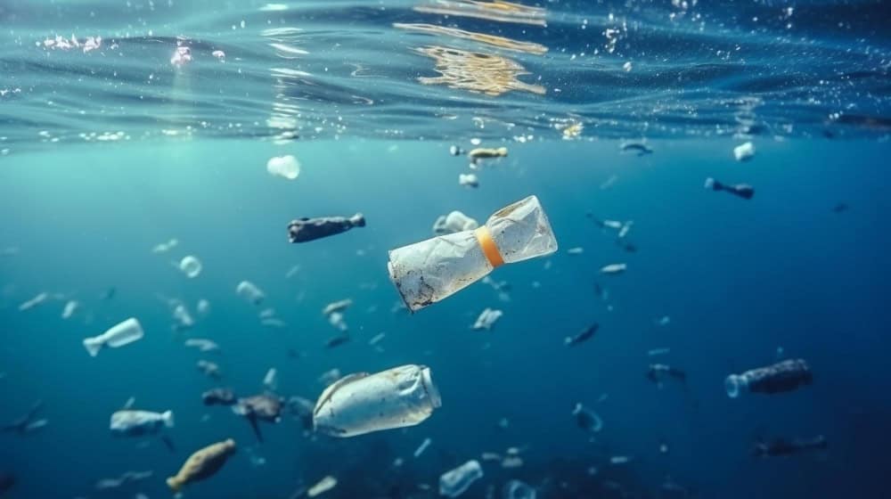 Plastica: una minaccia per l’intero ecosistema oceanico, anche nelle aree remote 21 Plastica: una minaccia per l’intero ecosistema oceanico, anche nelle aree remote