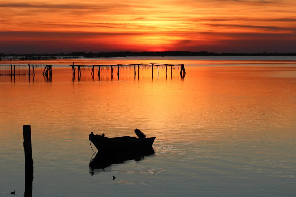Due giorni tra Rovigo e il delta del Po: un viaggio unico dove la terra incontra l’acqua