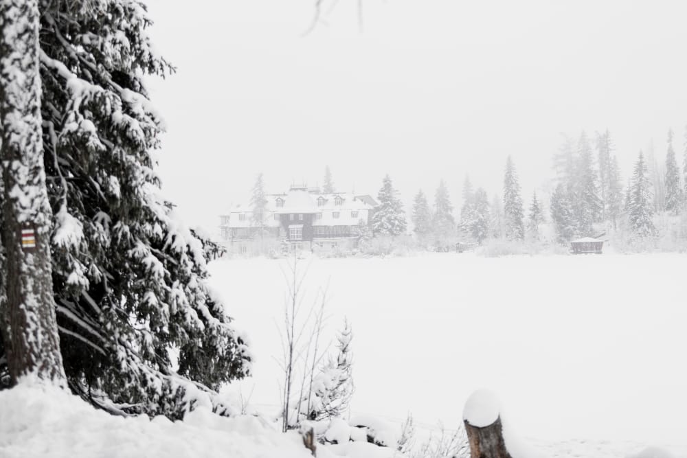 Tremenda tempesta di neve colpisce California e Nevada: vento fino ad oltre 300 km/h