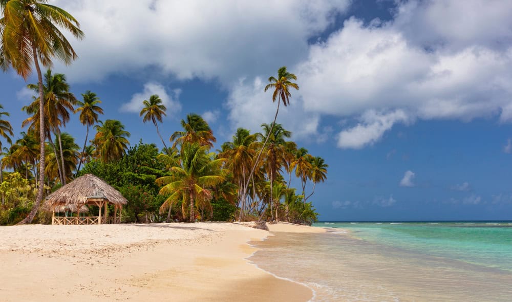 L’isola di Tobago: un angolo di pace caraibico