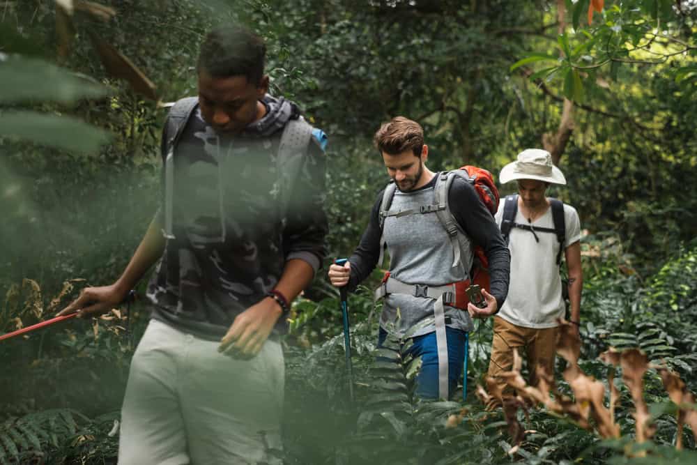 L’impatto ambientale del turismo sulle aree naturali protette: una riflessione critica