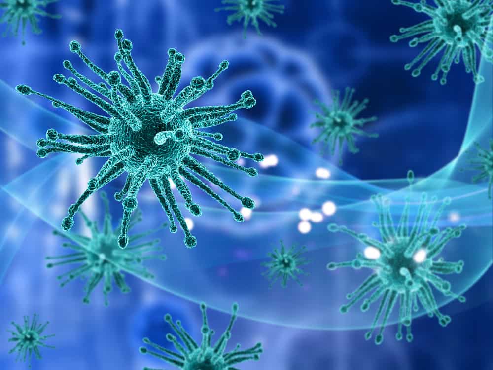 Gli umani trasmettono più virus agli animali di quanti ne ricevono 27 Gli umani trasmettono più virus agli animali di quanti ne ricevono