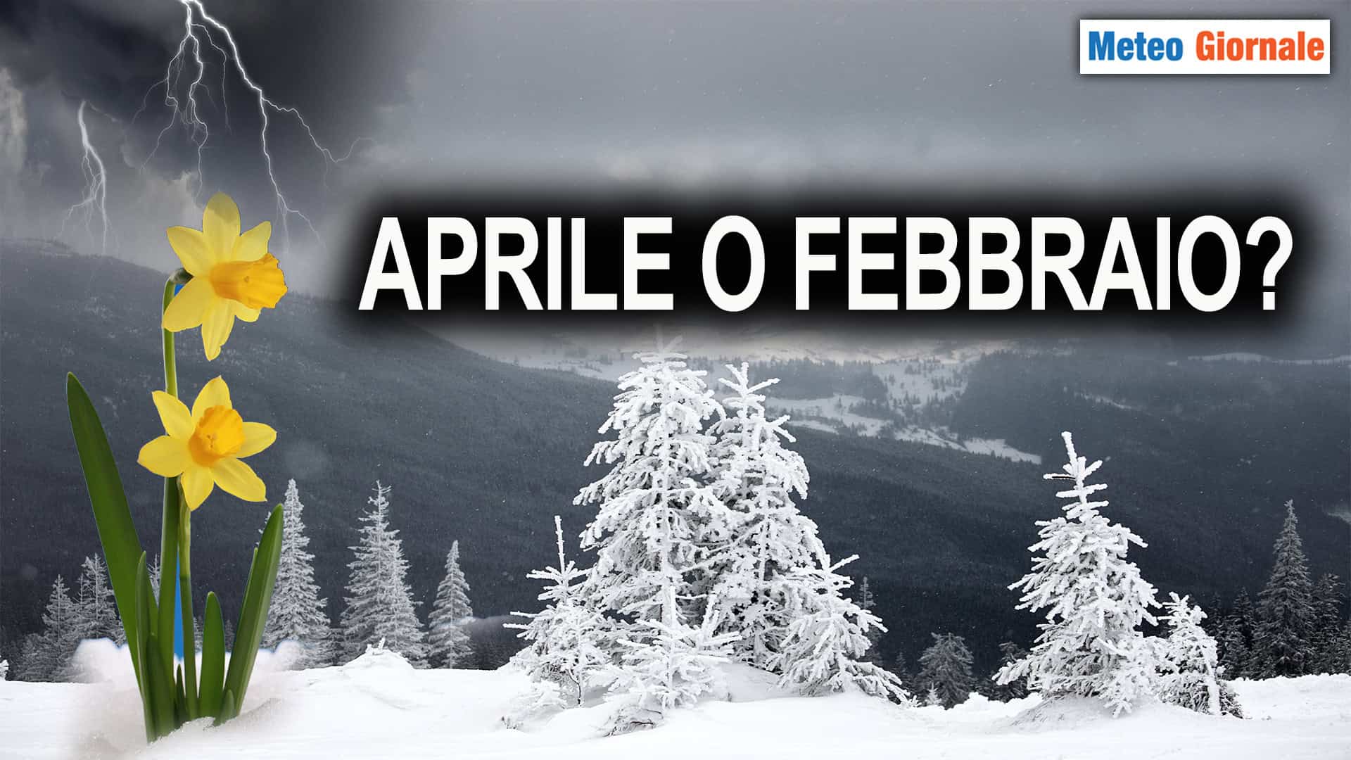 Aprile o Febbraio? Il METEO dei prossimi giorni sarà "strano"