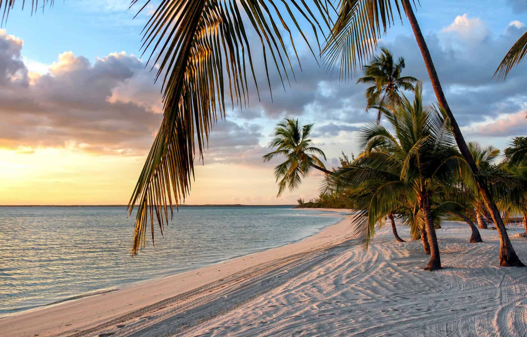 Andros, Bahamas: alla scoperta di un paradiso poco conosciuto dei Caraibi