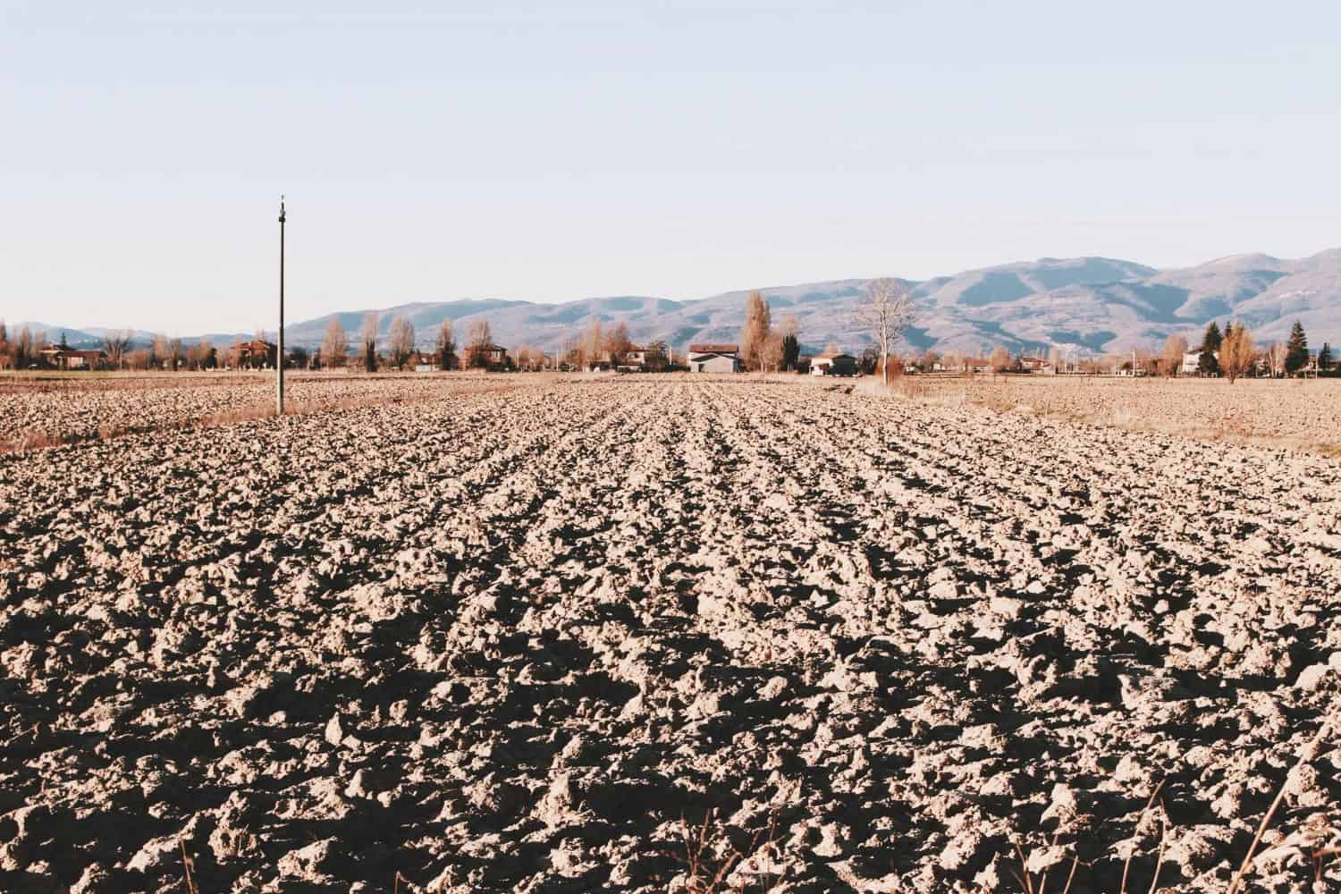 Cambiamento climatico: il ruolo cruciale del SIC, il carbonio inorganico