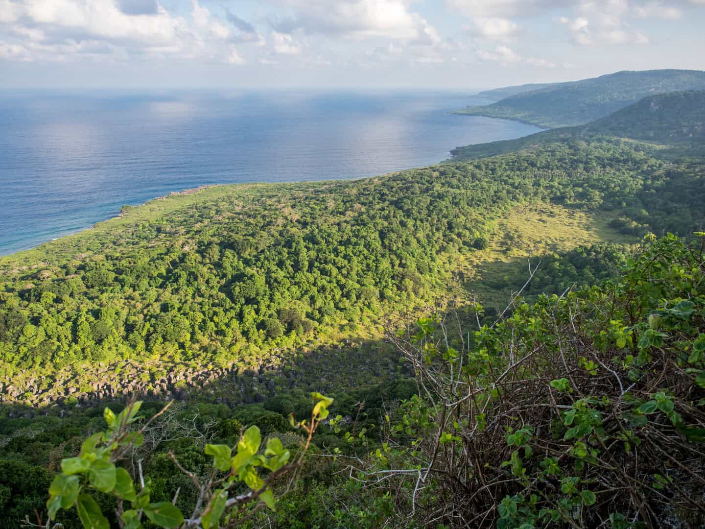 christmas island australia verde