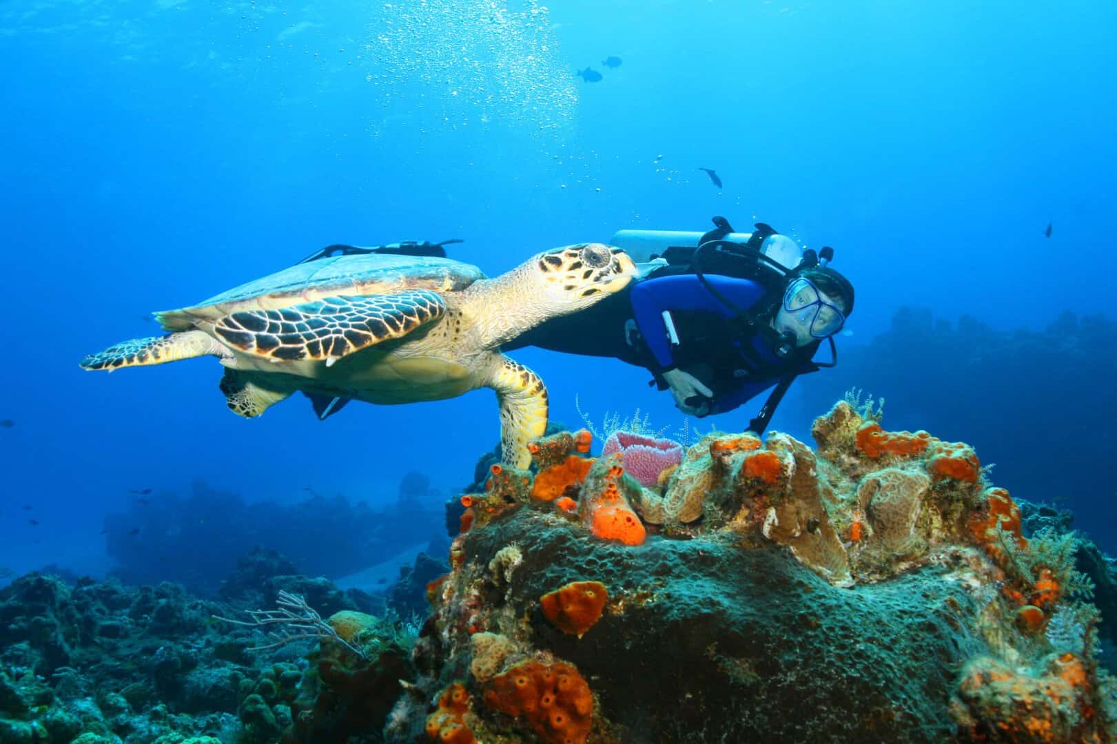 cozumel sub