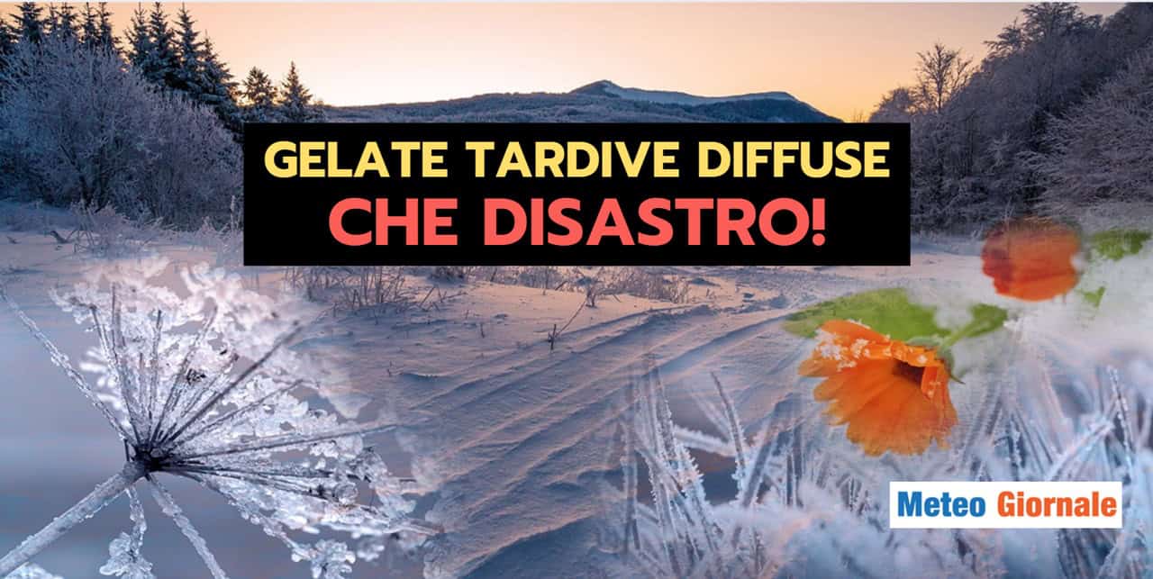 GELATE TARDIVE: davvero non ci volevano!