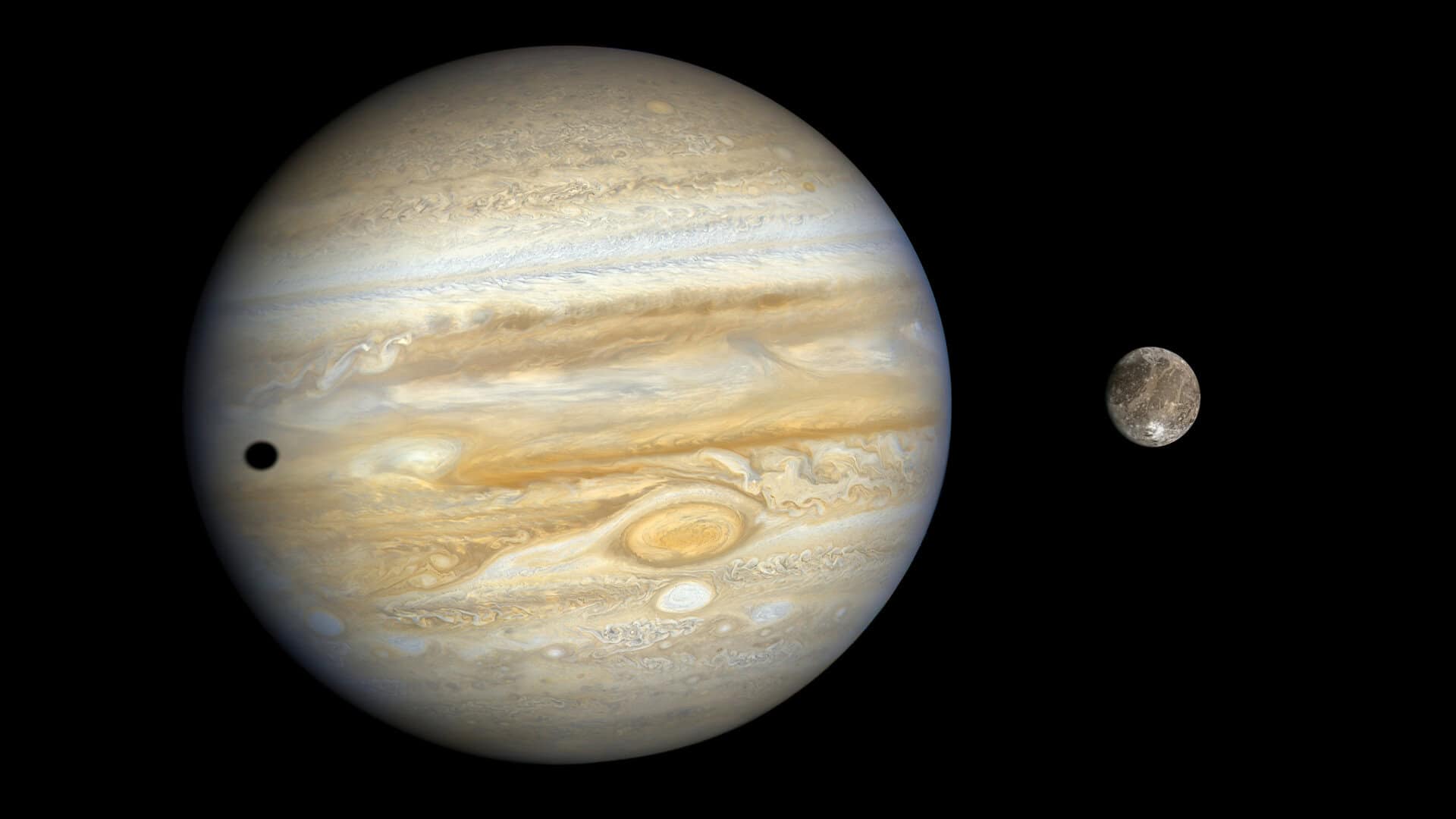 giove e ganimede