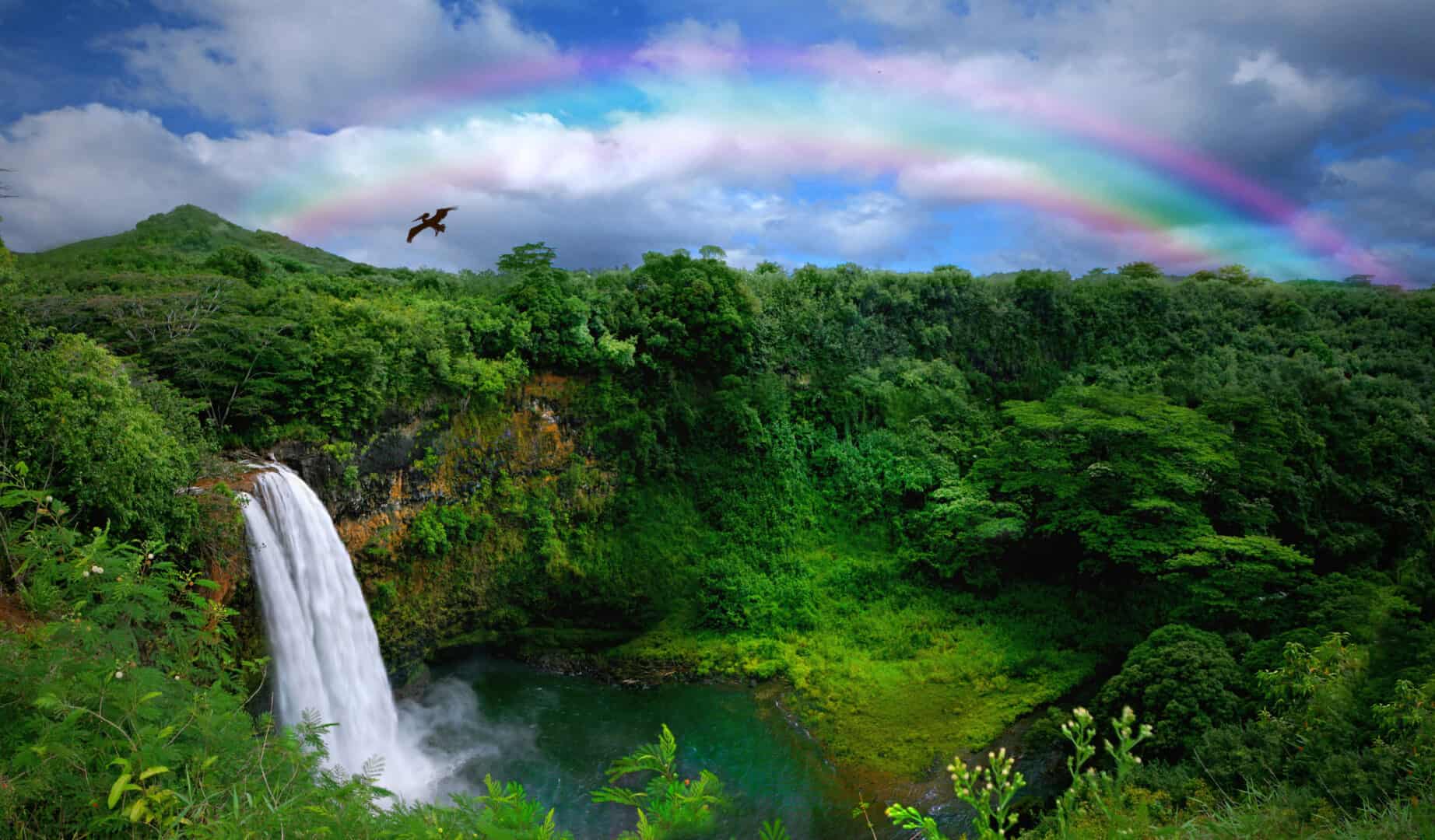 L’isola‍ di​ Kauai, Hawaii: il giardino dell’Eden