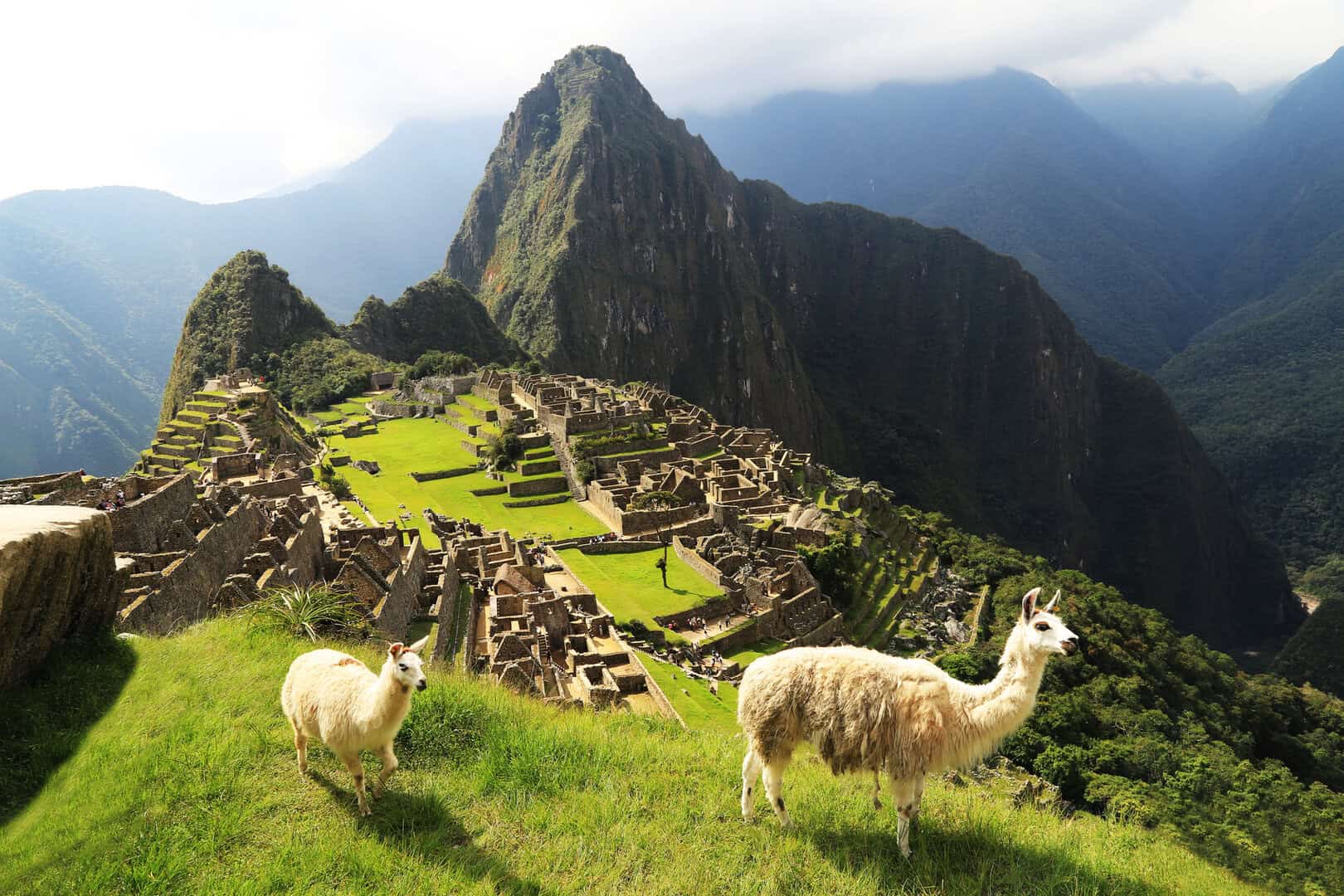 Esplorando Machu Picchu: meraviglia Inca nell’abbraccio delle Ande Peruviane
