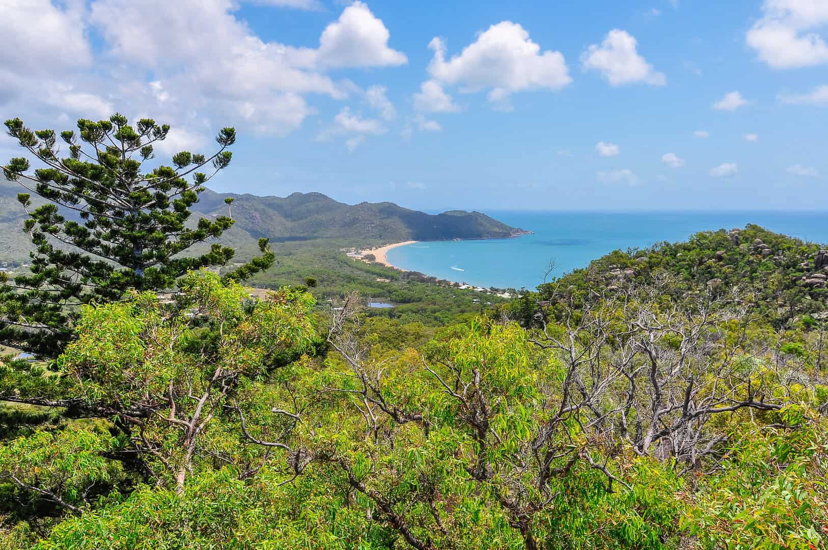 Magnetic Island, Australia: il santuario dei Koala dalle spiagge incontaminate