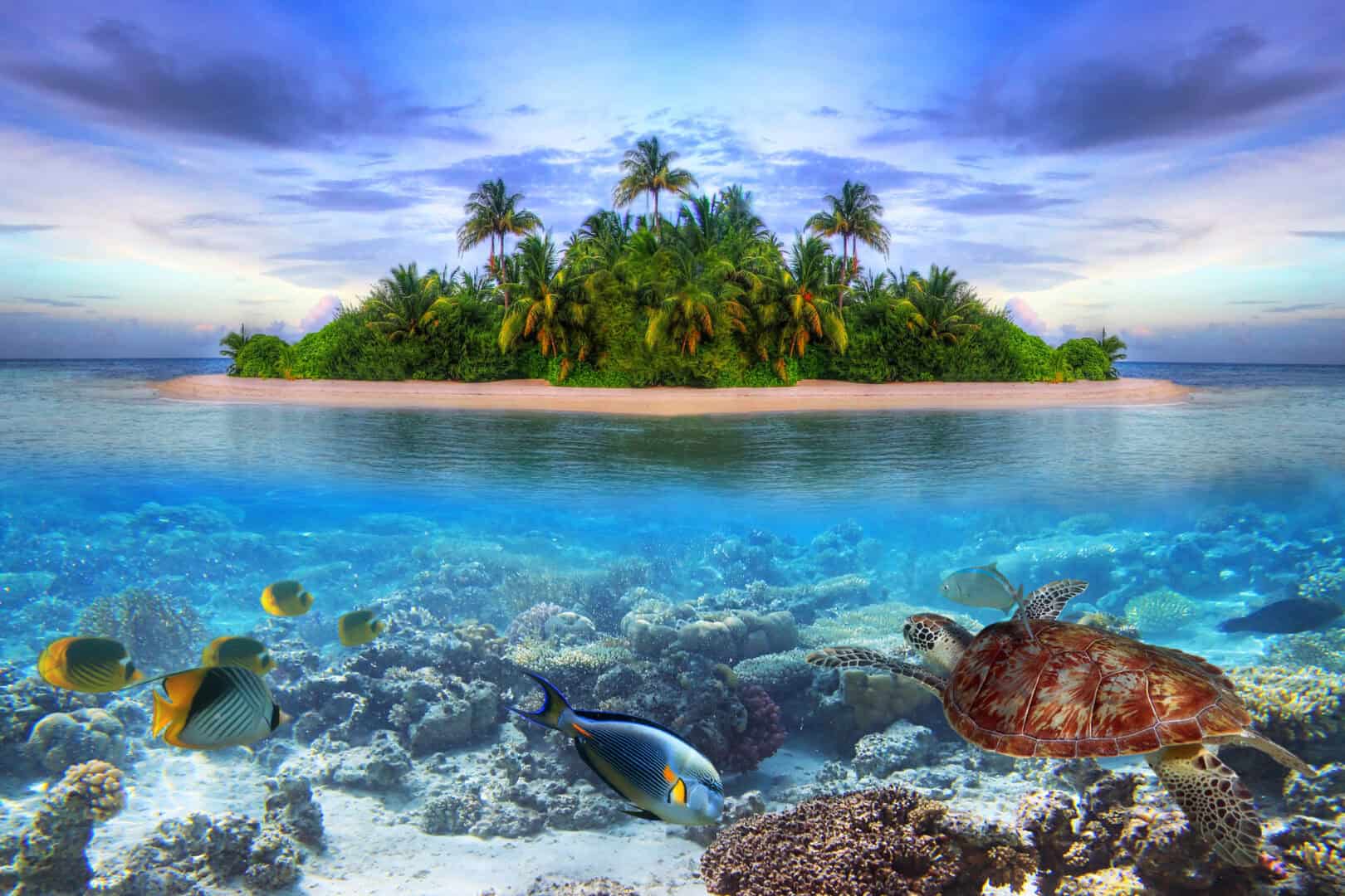 Le Maldive: gli atolli più incantati al mondo