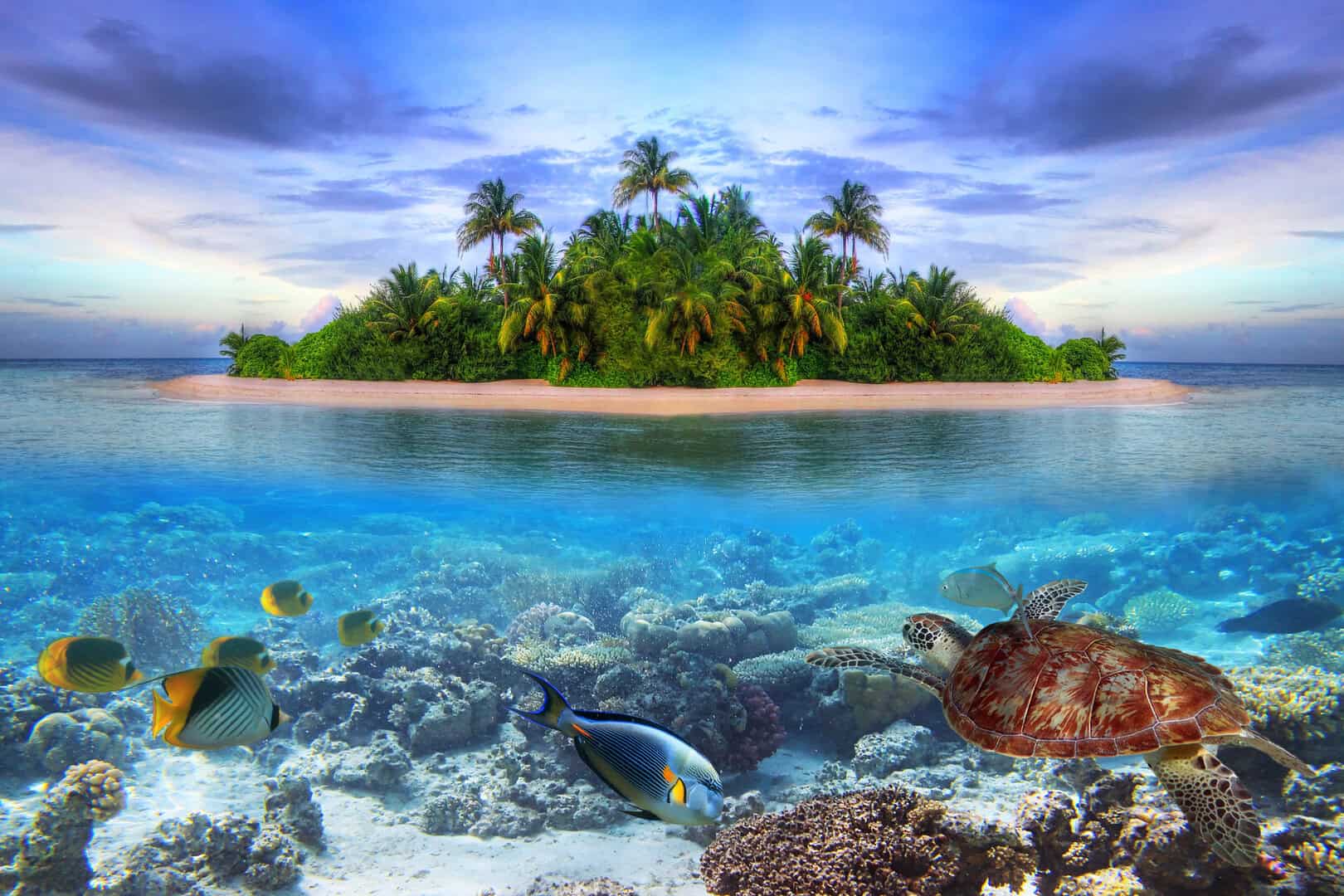 Le Maldive: gli atolli più incantati al mondo