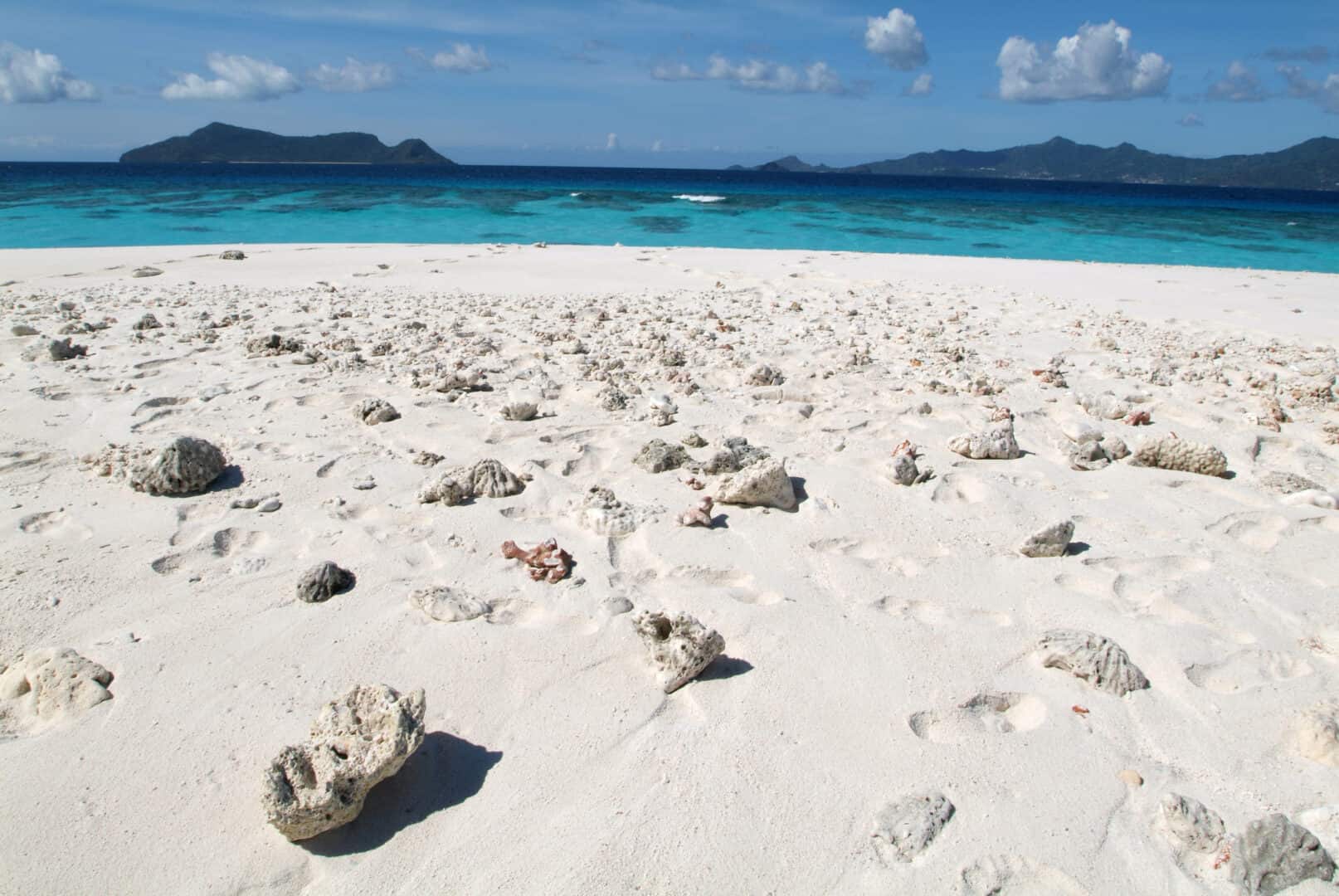 Mayotte, Comore: un santuario marino di rara bellezza