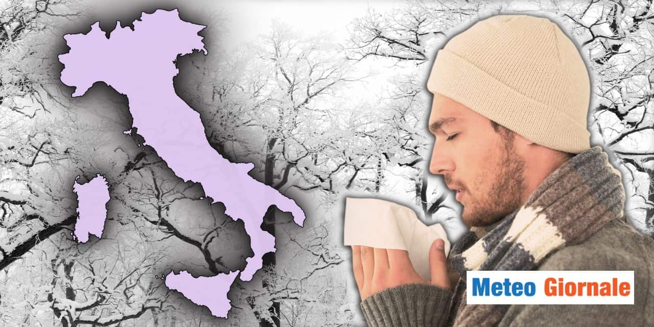 Meteo: si temono gravi danni per il forte freddo