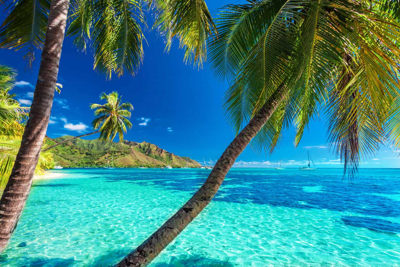 Moorea, gioiello della Polinesia Francese: tra montagne verdi e lagune blu