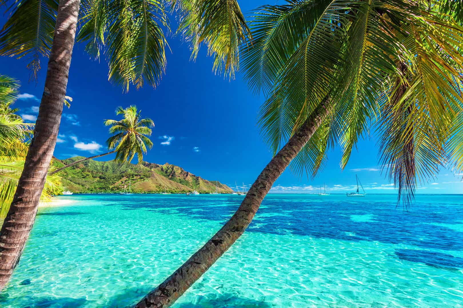 moorea laguna blu
