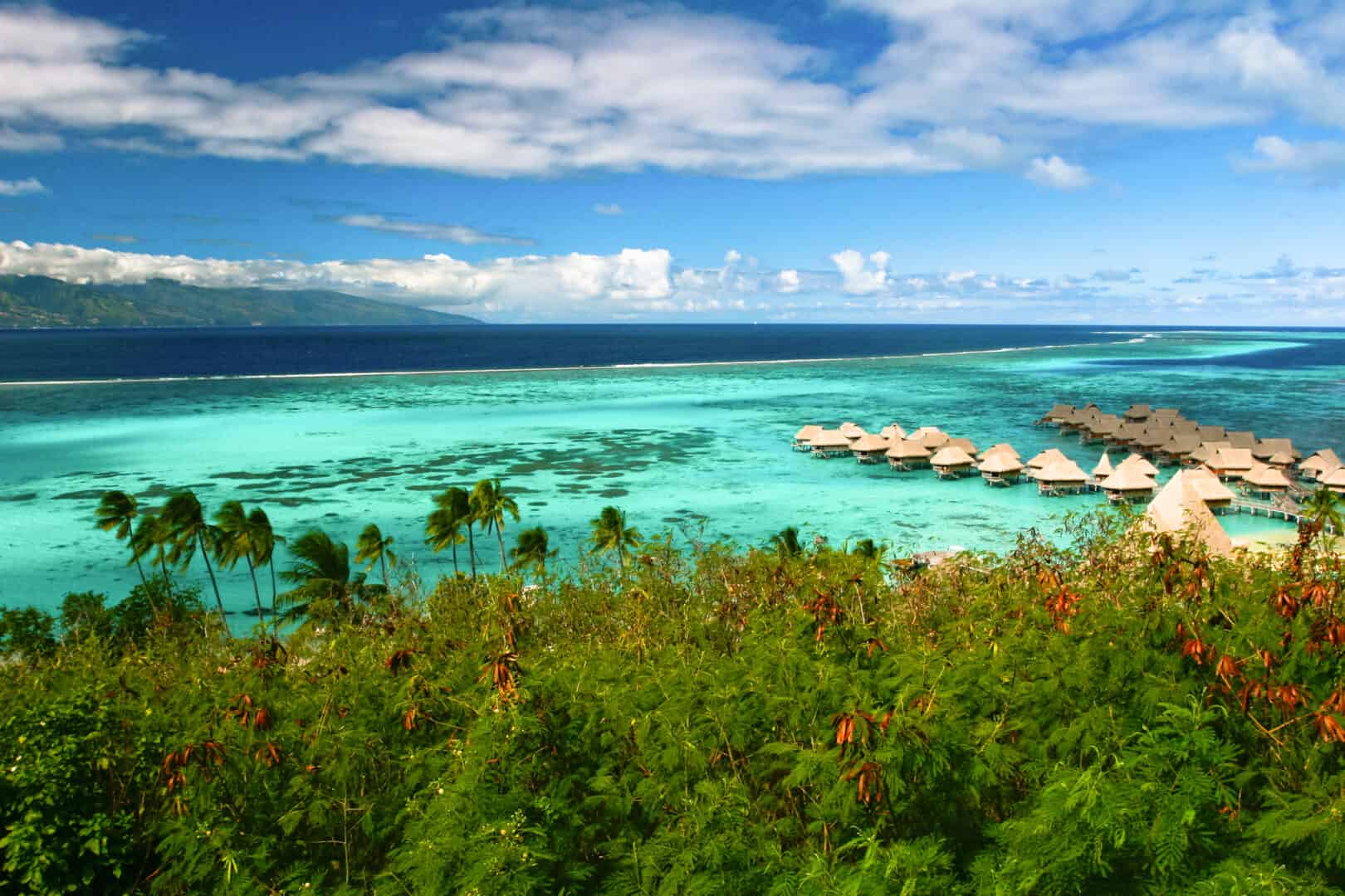 Moorea, gioiello della Polinesia Francese: un’esplorazione nel cuore verde dell’oceano
